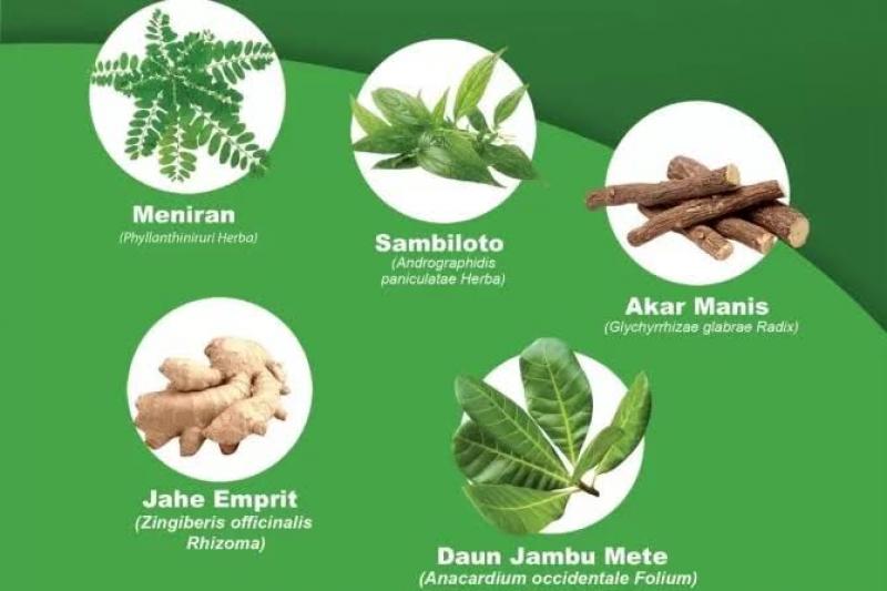 Penghijauan, Memelihara Jenis Tanaman Herbal