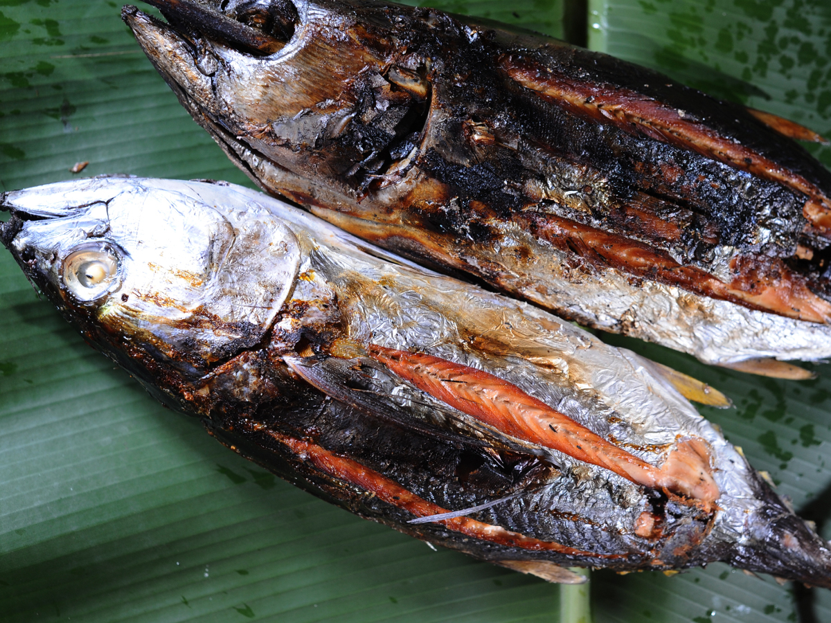 Mengapa Ikan Asar Jadi Favorit di Berbagai Daerah